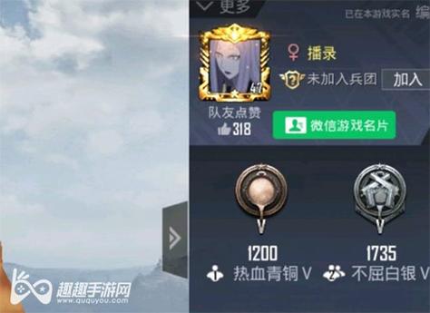 和平精英稳定外挂演示
